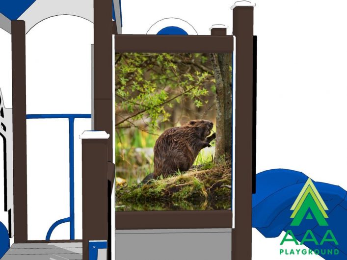 Beaver Recycled Plastic