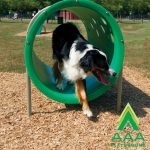 9-Piece Expert AAA Playground Kit