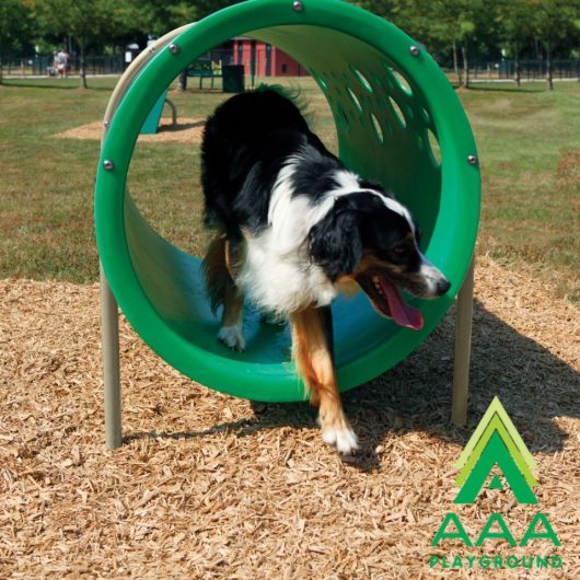 6-Piece Intermediate AAA Playground Kit