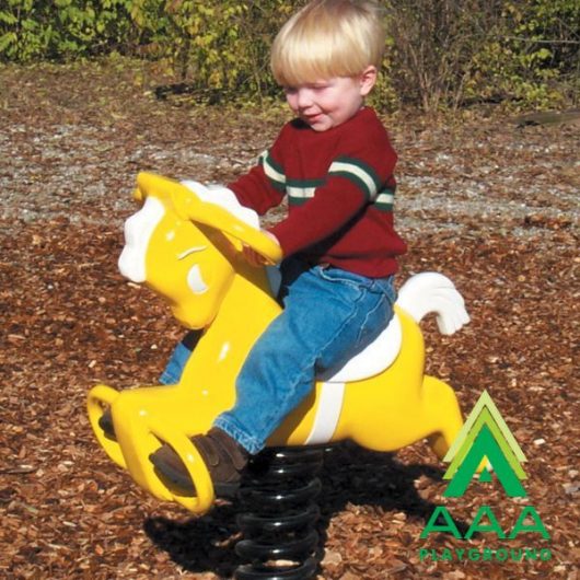 Easy Rider Pony