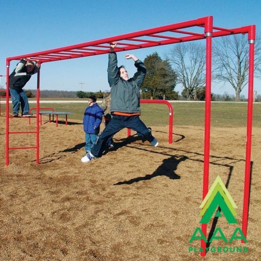 Horizontal Ladder