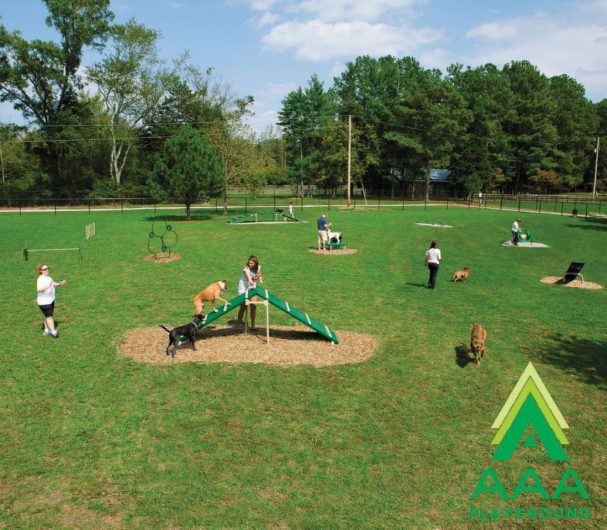 9-Piece Expert AAA Playground Kit