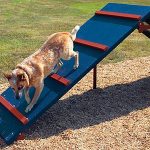 6-Piece Intermediate AAA Playground Kit