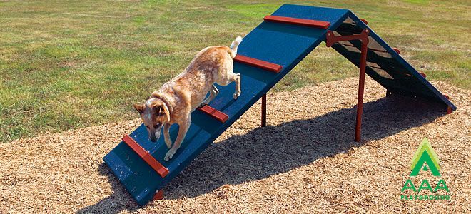 9-Piece Expert AAA Playground Kit