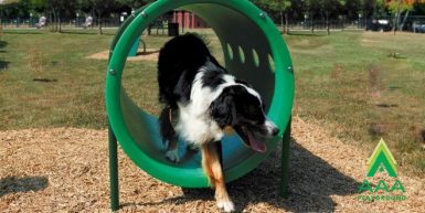 AAA Playground Doggie Crawl