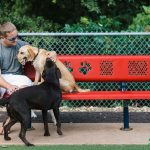 Paws Design 6-feet AAA Playground Perforated Style Bench with Back
