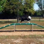 9-Piece Expert AAA Playground Kit