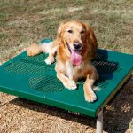 6-Piece Intermediate AAA Playground Kit