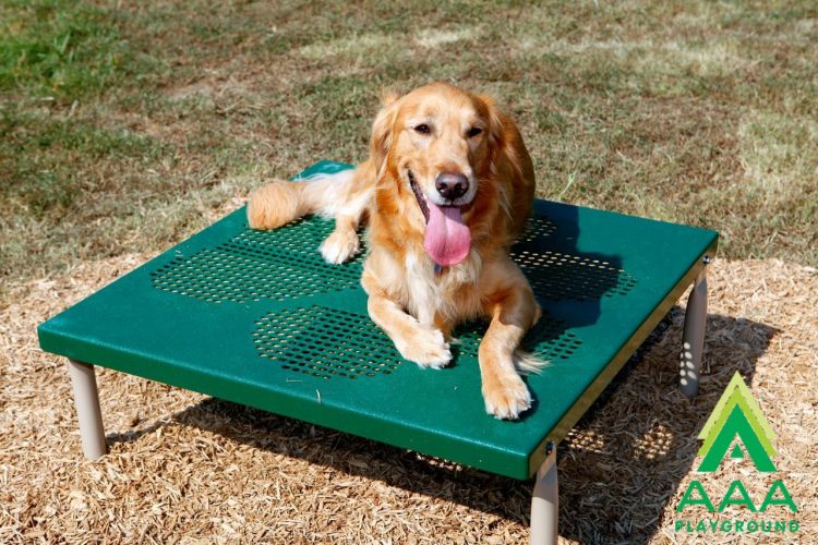 6-Piece Intermediate AAA Playground Kit