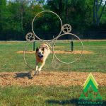 6-Piece Intermediate AAA Playground Kit