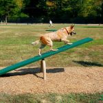 9-Piece Expert AAA Playground Kit