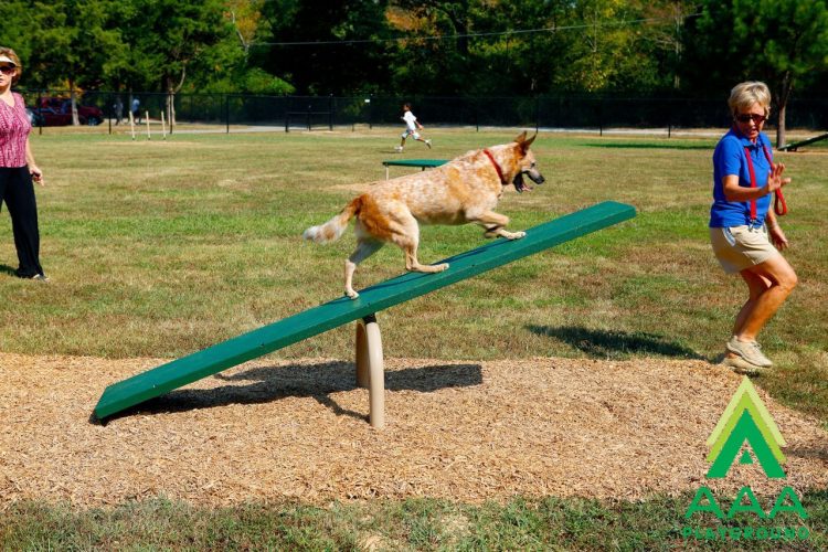 9-Piece Expert AAA Playground Kit