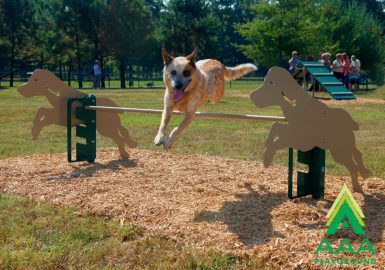 AAA Playground Rover Jump Over