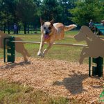 4-Piece Novice AAA Playground Kit