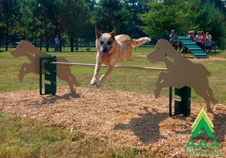 4-Piece Novice AAA Playground Kit