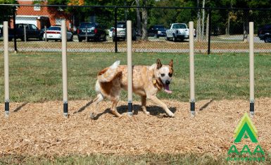 AAA Playground Weave Posts