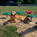 6-Piece Intermediate AAA Playground Kit