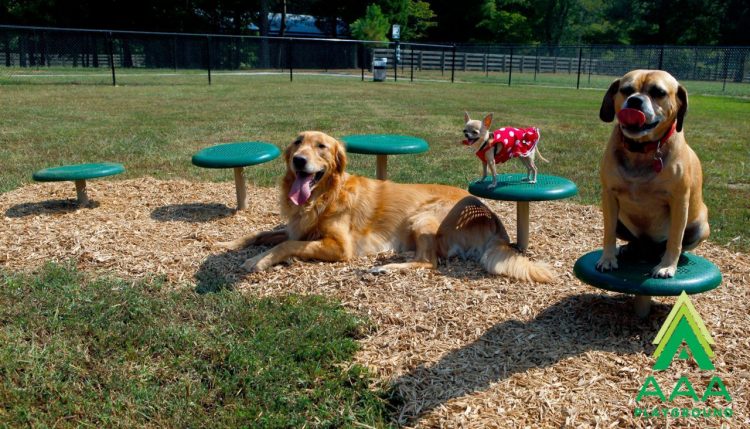 6-Piece Intermediate AAA Playground Kit