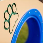 Recycled Plastic Dog Park Play Equipment
