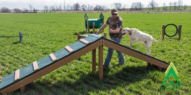 Recycled Hill Top Challenge