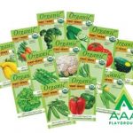 Square Foot Gardening Kit