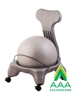 Fit Pro Ball Chair