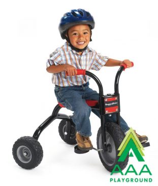 AAA Playground RuggedRider 12" Trike